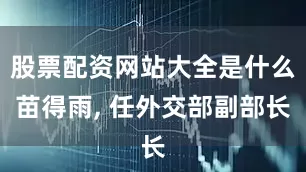 股票配资网站大全是什么苗得雨, 任外交部副部长