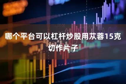 哪个平台可以杠杆炒股用苁蓉15克切作片子